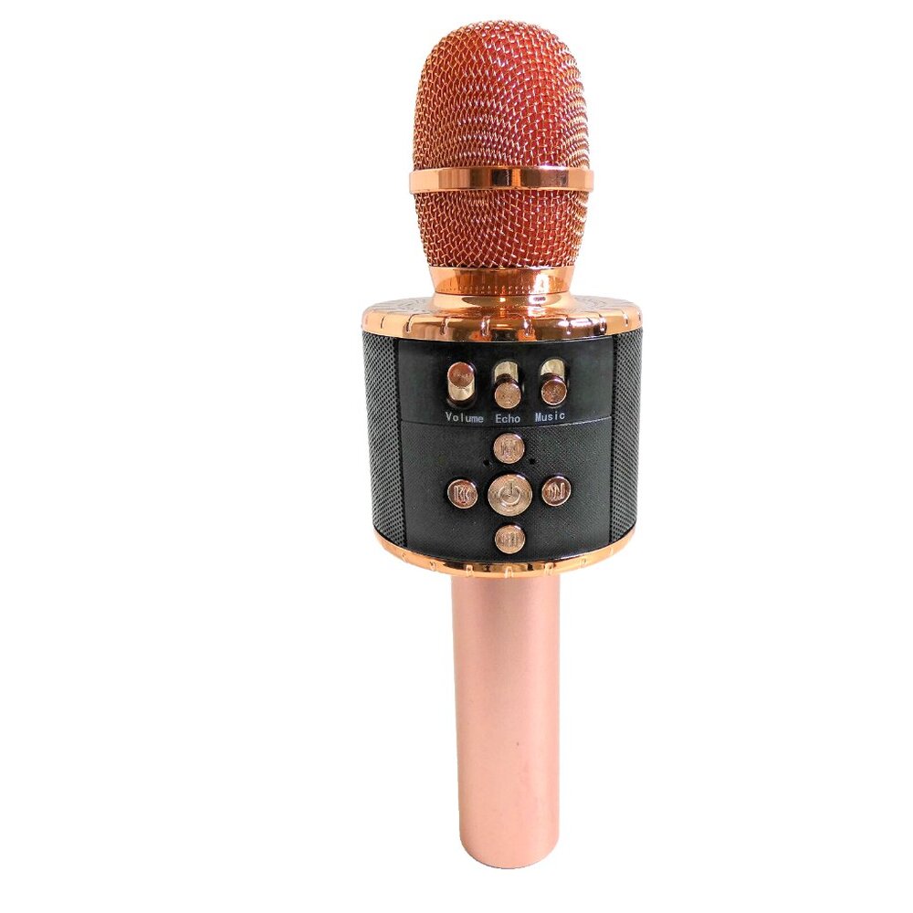 Karaoke Microphone Art & Sound Special Effect Volume Control Recharable USB Slot